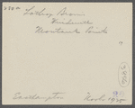 Lanthrop Brown's Windmill. Erected 1813. Montauk Point. Montauk, East Hampton