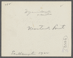 Building. Wyandank in center. Burned down November 1, 1926. Montauk Point. Montauk, East Hampton