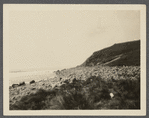 View of Montauk Point. Montauk, East Hampton