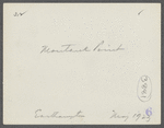 View of Montauk Point. Montauk, East Hampton