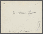 View of Montauk Point. Montauk, East Hampton