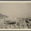 View at Montauk Point. Montauk, East Hampton