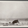 View at Montauk Point. Montauk, East Hampton