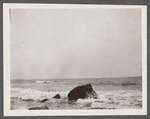 View at Montauk Point. Montauk, East Hampton