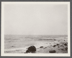View at Montauk Point. Montauk, East Hampton