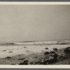 View at Montauk Point. Montauk, East Hampton
