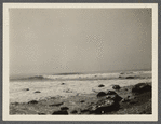 View at Montauk Point. Montauk, East Hampton