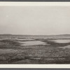 View of Lake Wyandanch alias Great Pond and Goose Pond. Treasure Island in distance. Montauk, East Hampton