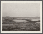 View of Lake Wyandanch alias Great Pond and Goose Pond. Treasure Island in distance. Montauk, East Hampton