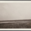 View of Reed Pond. Montauk, East Hampton
