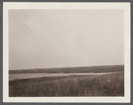 View of Reed Pond. Montauk, East Hampton