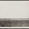 View of Shepherds Neck Village on Fort Pord. Montauk, East Hampton