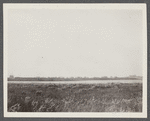 View of Shepherds Neck Village on Fort Pord. Montauk, East Hampton