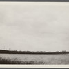 View of Shepherds Neck Village on Fort Pord. Montauk, East Hampton