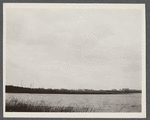 View of Shepherds Neck Village on Fort Pord. Montauk, East Hampton