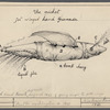 The cricket jet winged hand granade