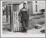 FSA (Farm Security Administration) borrower in Laredo, Montana.