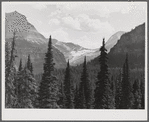 Glacier seen from Logan Pass. Going-to-the-Sun highway, Glacier Park, Montana.