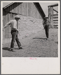 Dudes in the corral at Quarter Circle U, Brewster-Arnold Ranch Company. Birney, Montana.