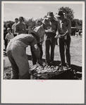 Waiting in line for barbecued beef at the stockmen's picnic and barbecue. Spear's Siding, Wyola, Montana.