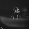 Maria Youskevitch and Melissa Hayden