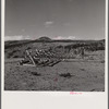 Snow fence near Granby, Colorado.