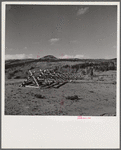 Snow fence near Granby, Colorado.