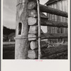 Detail of corral gate and fence. Quarter Circle U, Brewster-Arnold Ranch Company. Birney, Montana.