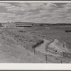 Yampa River Valley, Colorado. Pure-bred cattle ranch.