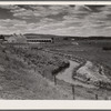 Yampa River Valley, Colorado. Pure-bred cattle ranch.