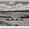 Haying in the Yampa River Valley, Colorado.