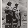"Doc" Conway, rancher from Craig, Colorado, talking to Beckman, commission merchant from Denver stockyards, by livestock pens in Craig, Colorado.