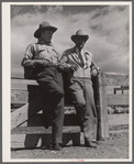 "Doc" Conway, rancher from Craig, Colorado, talking to Beckman, commission merchant from Denver stockyards, by livestock pens in Craig, Colorado.