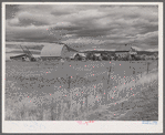 Ranch in the Yampa River Valley, Colorado.