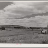 Sheepherders' tent on grazing land in Yampa River Valley, Colorado.