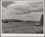 Sheepherders' tent on grazing land in Yampa River Valley, Colorado.