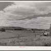 Sheepherders' tent on grazing land in Yampa River Valley, Colorado.
