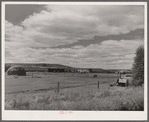 Sheepherders' tent on grazing land in Yampa River Valley, Colorado.
