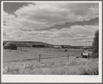 Sheepherders' tent on grazing land in Yampa River Valley, Colorado.