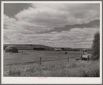 Sheepherders' tent on grazing land in Yampa River Valley, Colorado.