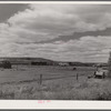 Sheepherders' tent on grazing land in Yampa River Valley, Colorado.