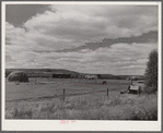 Sheepherders' tent on grazing land in Yampa River Valley, Colorado.