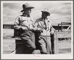 "Doc" Conway, rancher from Craig, Colorado talking to Beckman, commission merchant from Denver stockyards, by livestock pens in Craig, Colorado.