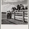 Indians at the Crow fair. Crow Agency, Montana.