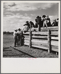 Indians at the Crow fair. Crow Agency, Montana.
