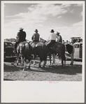 Indians at the Crow fair. Crow Agency, Montana.