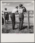 Dudes at the Crow Indian fair. Crow Agency, Montana.