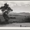 Landscape with hay field. Rocky Mountains in backgorund. Kleenburn, Wyoming.