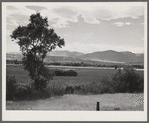 Landscape with hay field. Rocky Mountains in backgorund. Kleenburn, Wyoming.