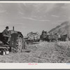 Threshing wheat on Beerman's ranch at Emblem, Wyoming. He has about 160 acres (quarter section), about forty-three in wheat, the rest in oats, beans, and alfalfa. This year he is getting between fifty-five and sixty bushels per acre, whereas ordinarily he